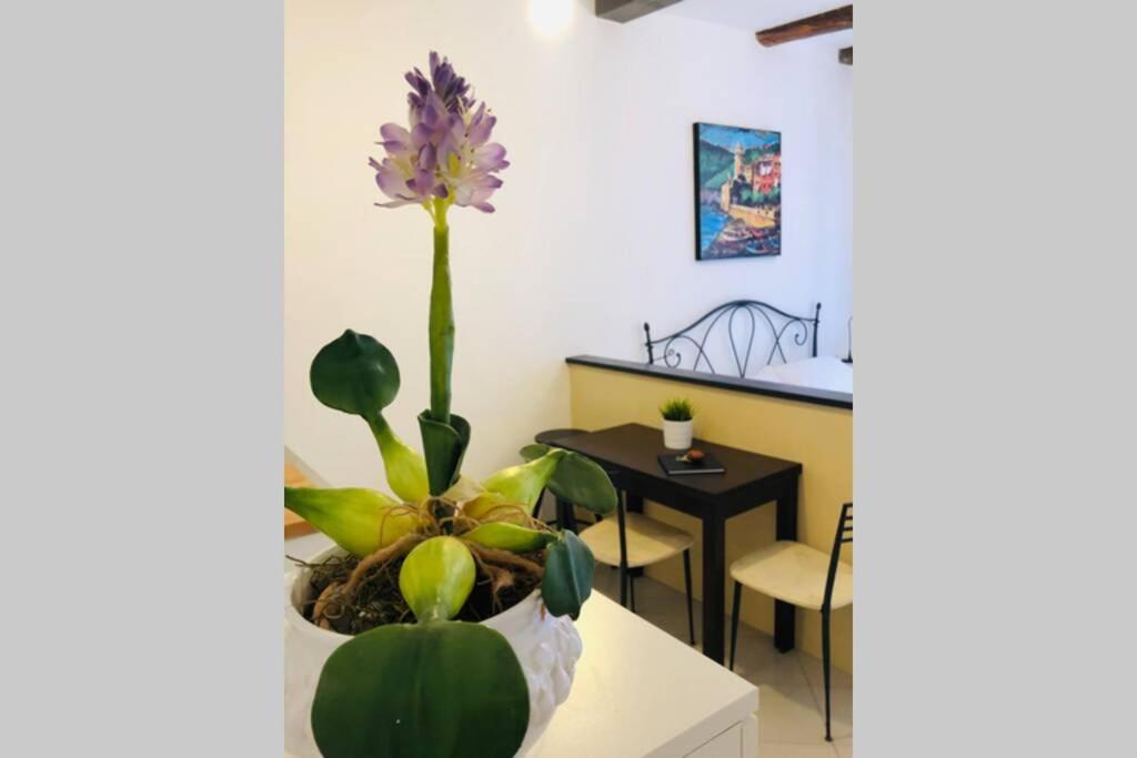 La Gianchina Di Vernazza - Central Cozy Apt Wi-Fi Экстерьер фото